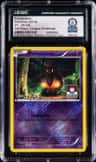 Pumpkaboo
