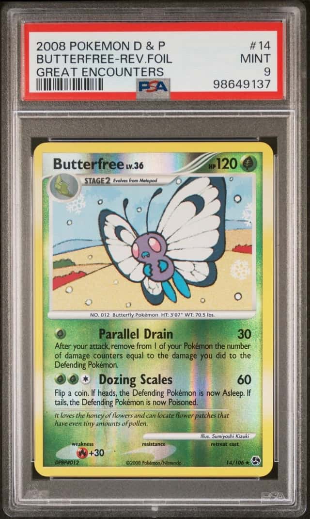 Butterfree