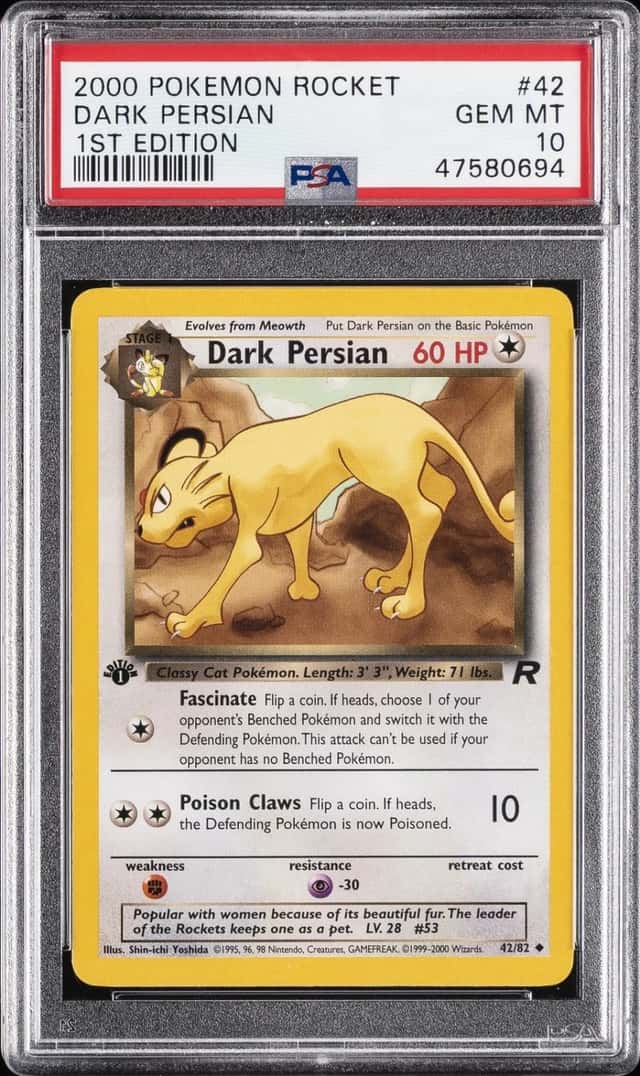 Dark Persian