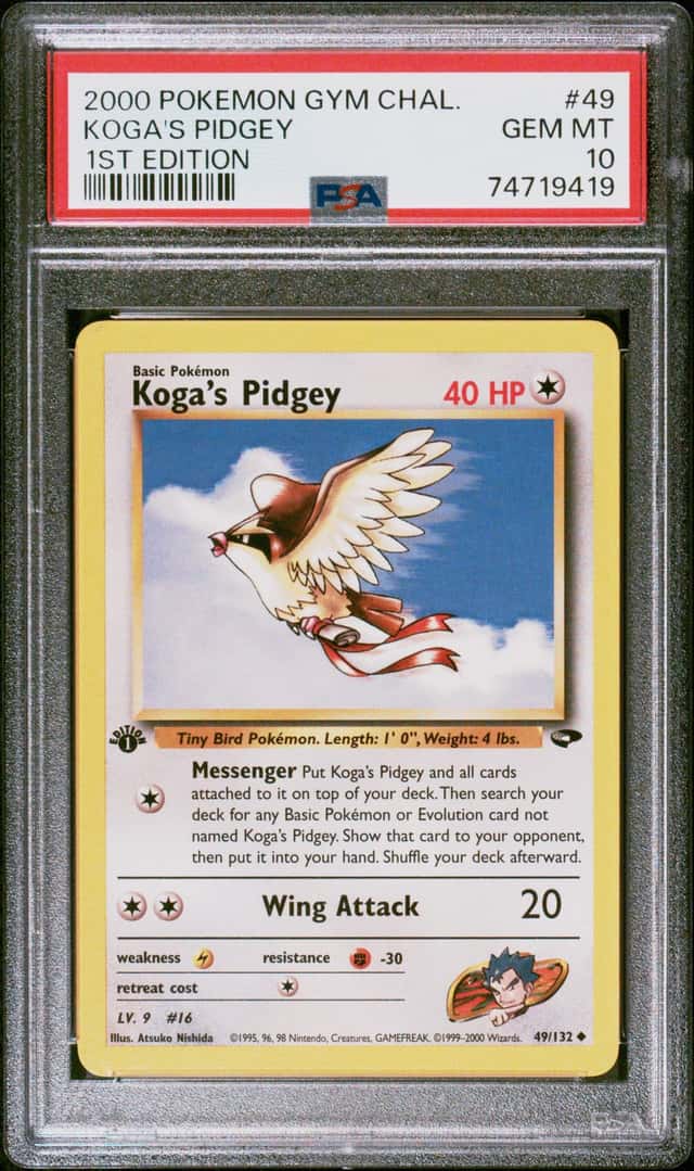 Koga's Pidgey