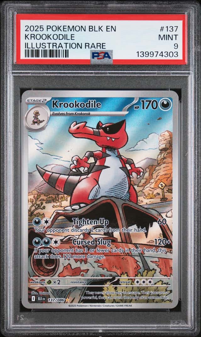 Krookodile