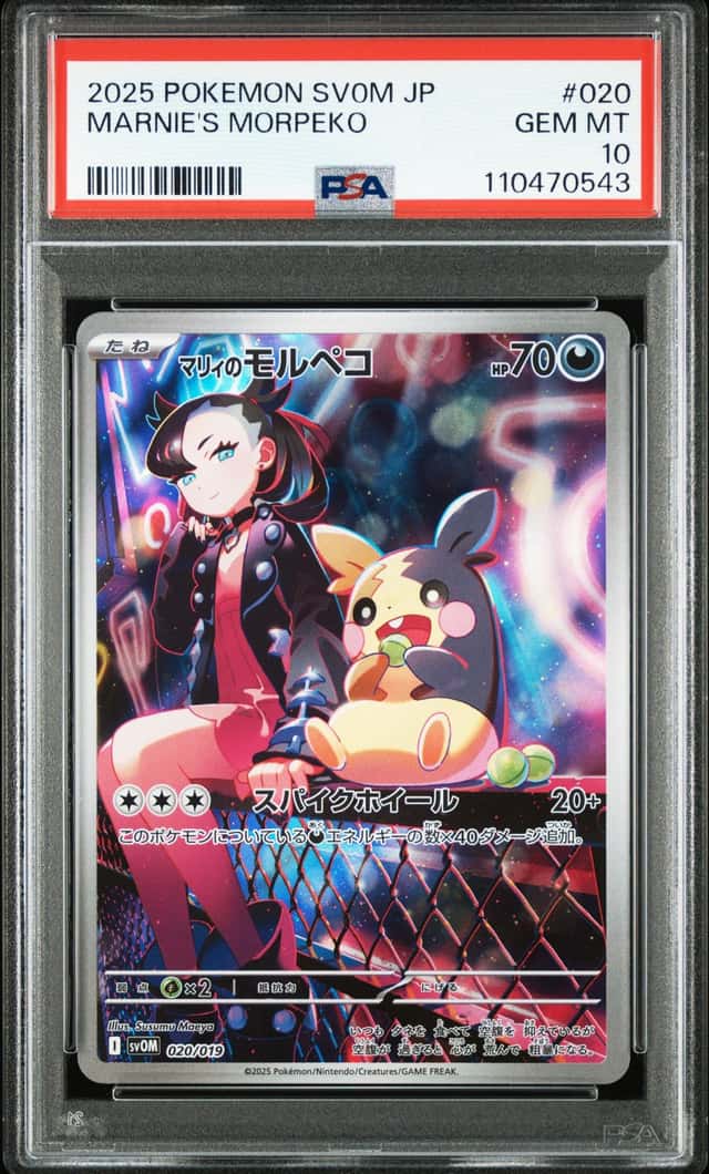 Marnie's Morpeko