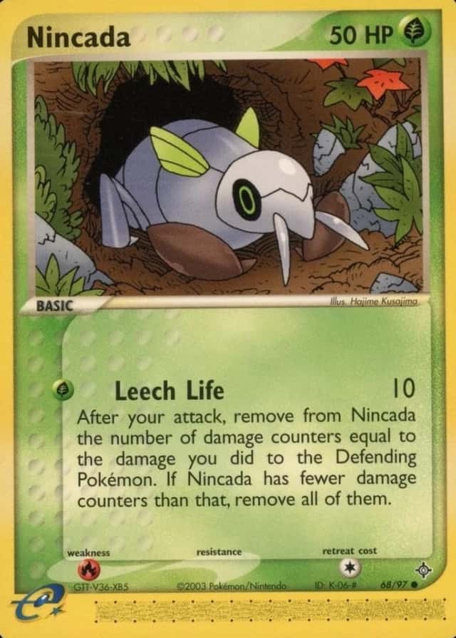 Base / no variant