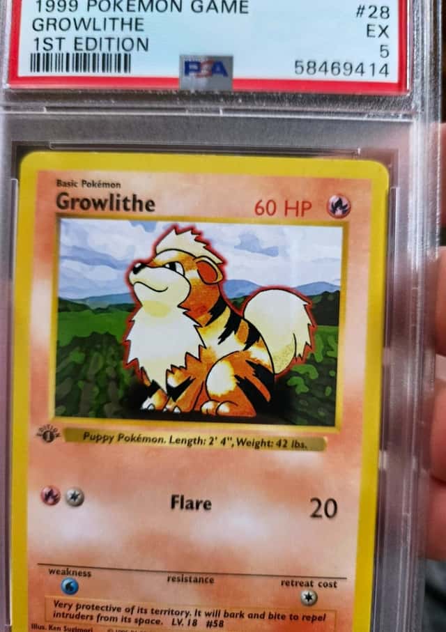Growlithe