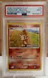 Chimchar