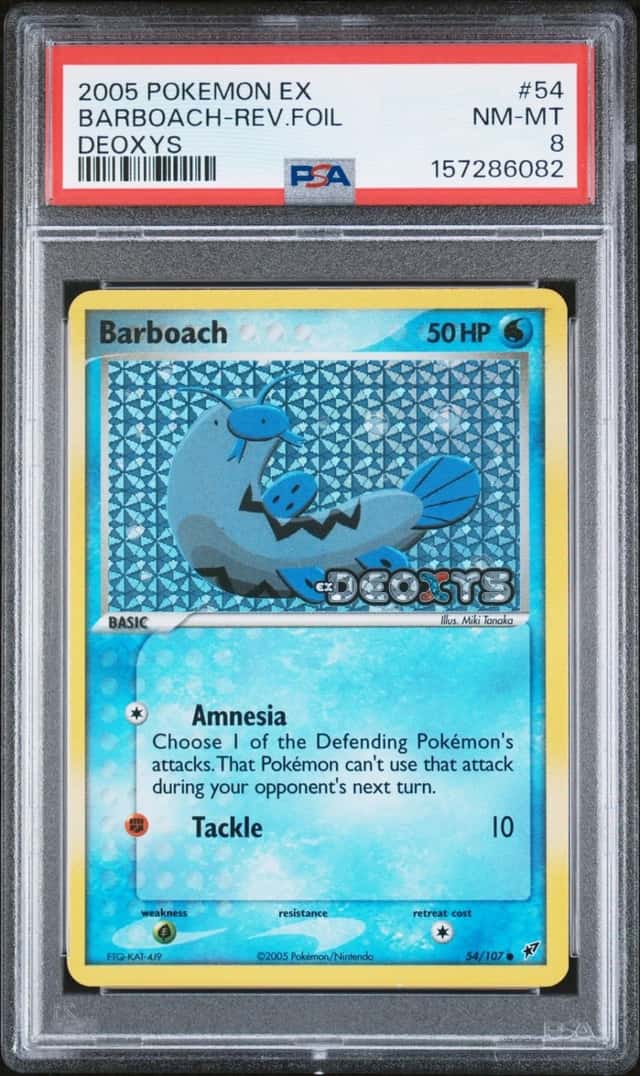 Barboach