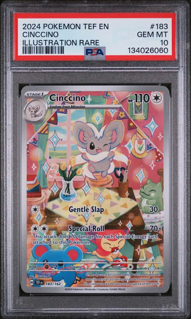 Cinccino