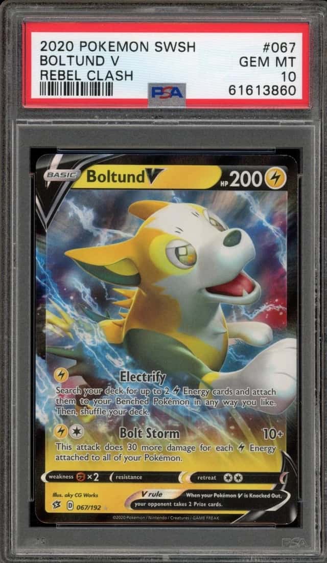 Boltund V