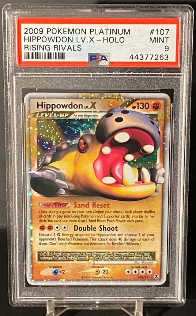 Hippowdon Lv X