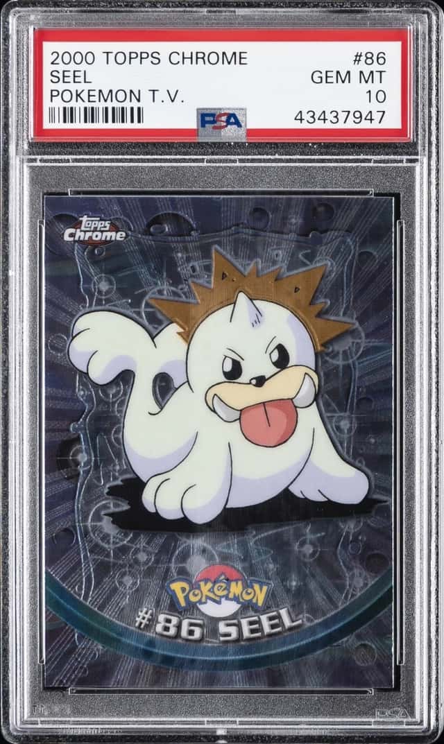 Seel