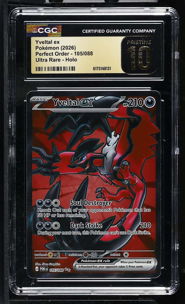 Yveltal ex