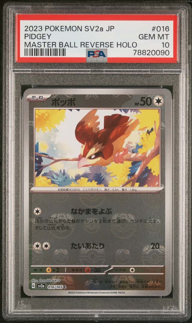 Pidgey