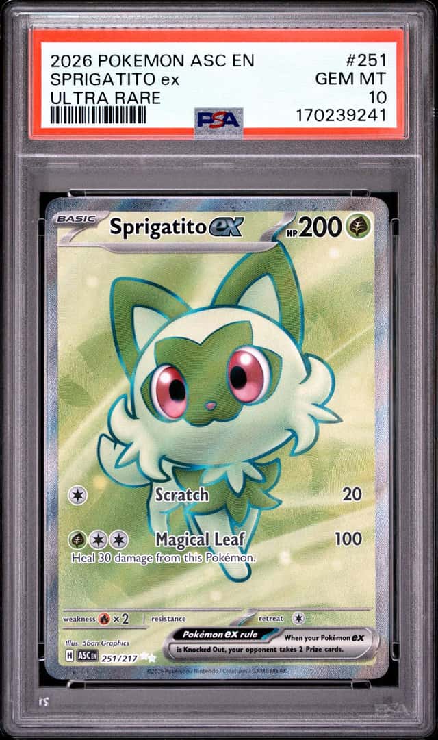 SPRIGATITO ex