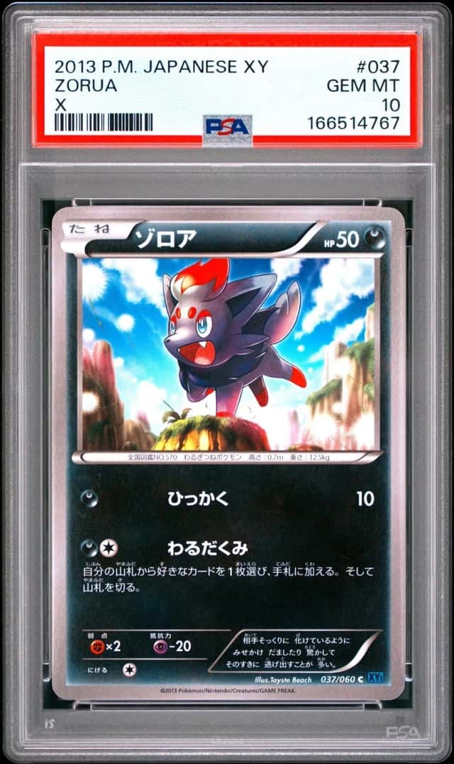 Zorua