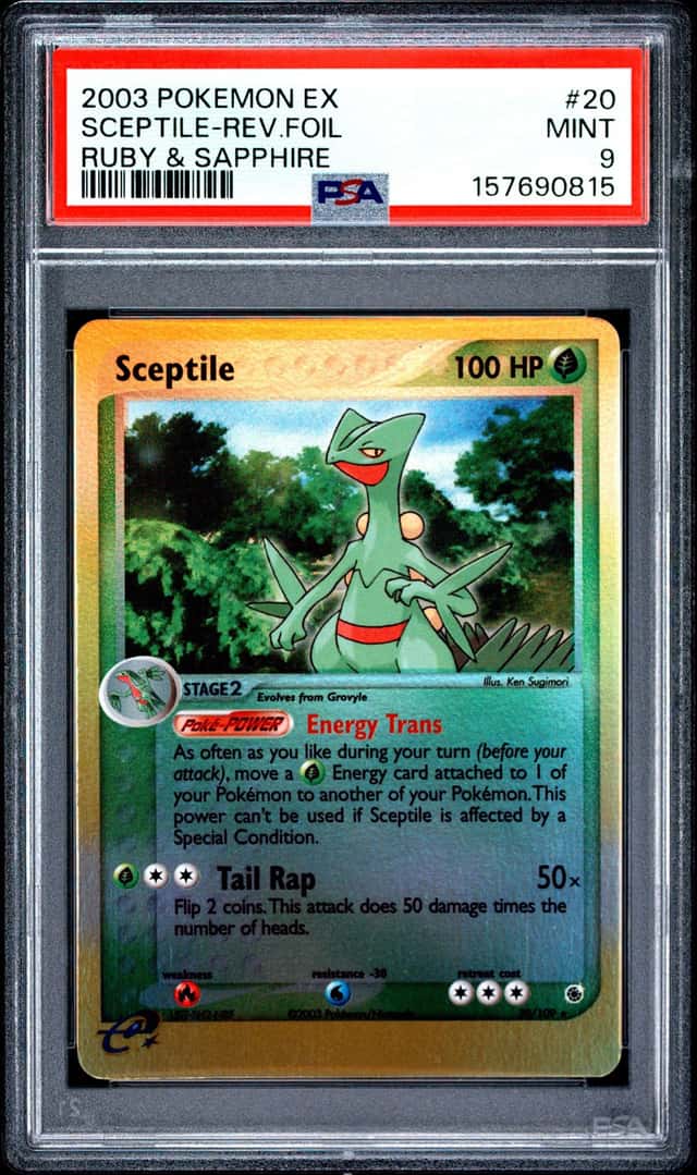 Sceptile