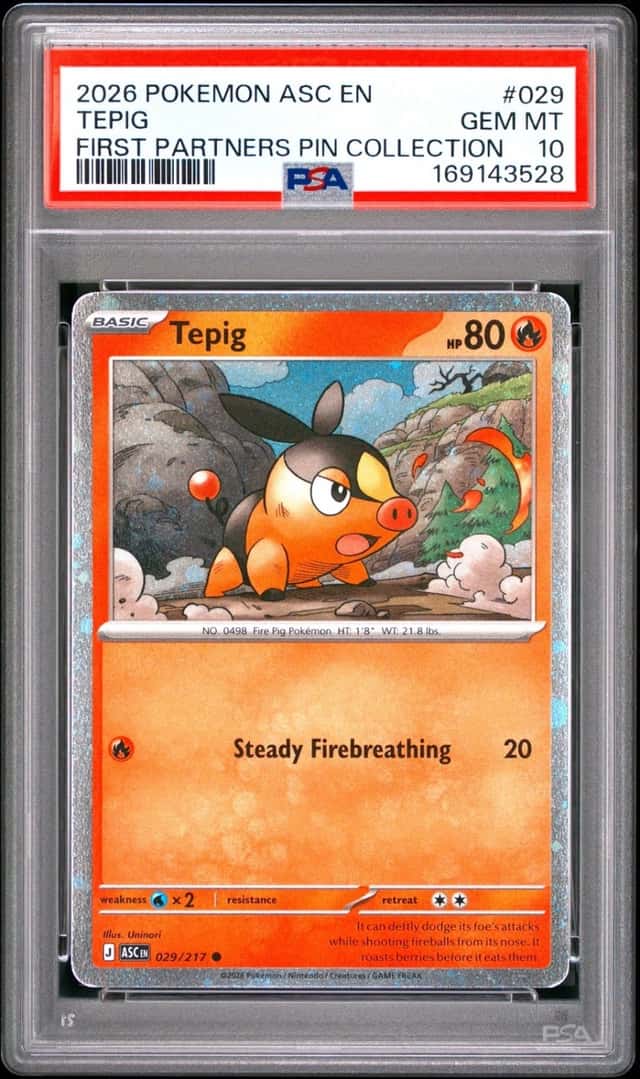 Tepig