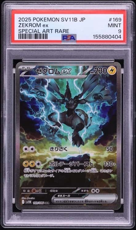 ZEKROM ex