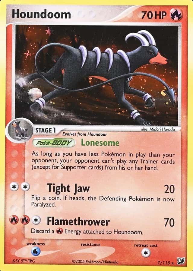 Holo
