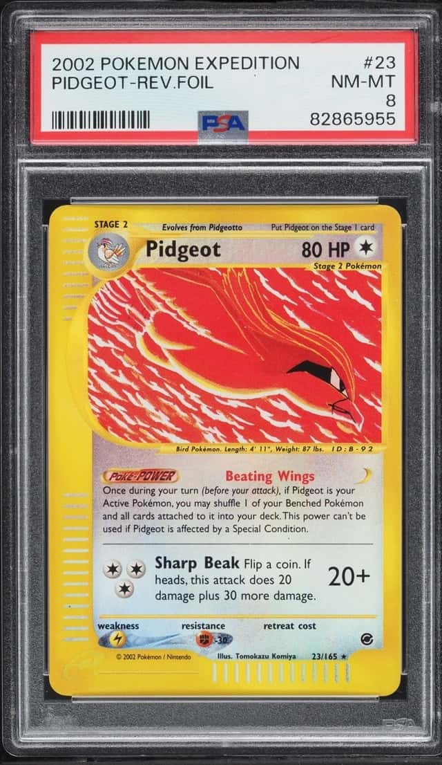 Pidgeot