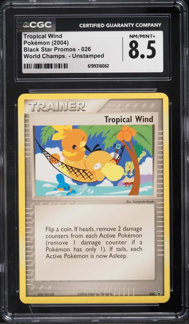 Tropical Wind