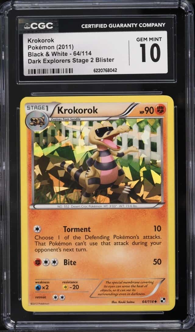 Krokorok