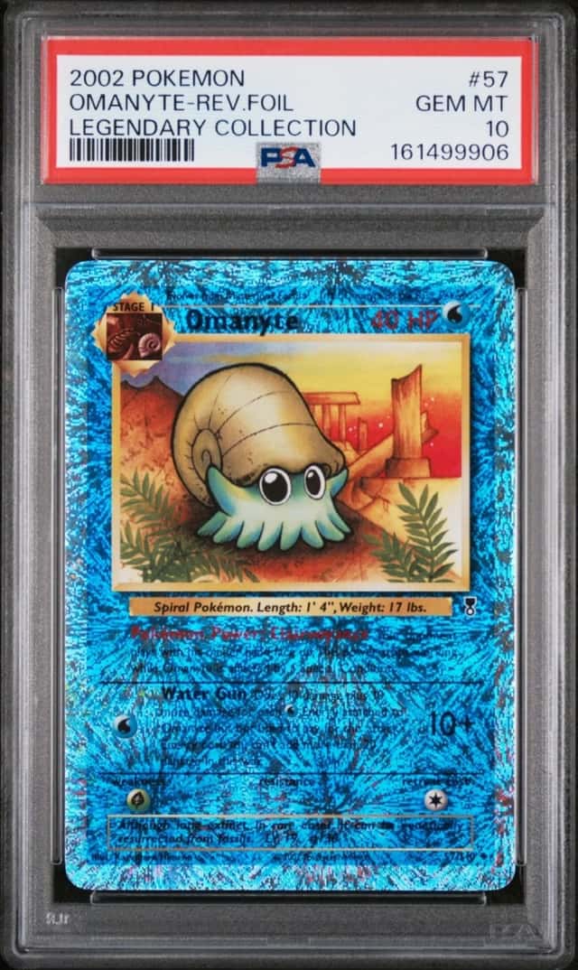 Omanyte