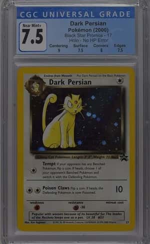 Dark Persian