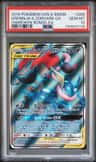 Greninja & Zoroark Gx