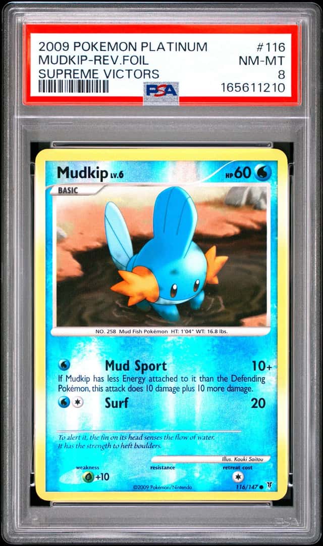 Mudkip
