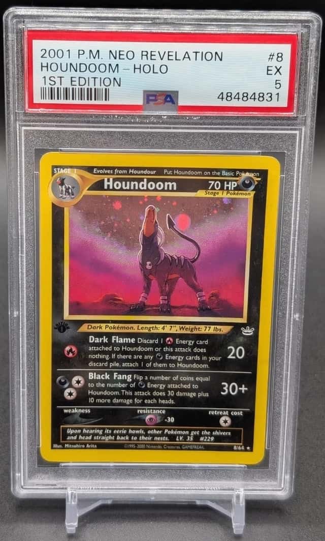 Houndoom