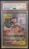 Mewtwo & Mew Gx
