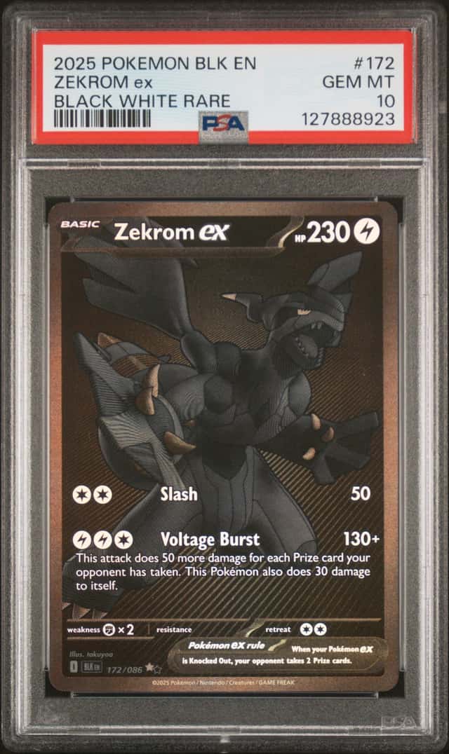 2025 POKEMON ZEKEOM #172 EN BLACK WHITE RARE  NOR CON CONVENTIO EX PSA 10 GEM 