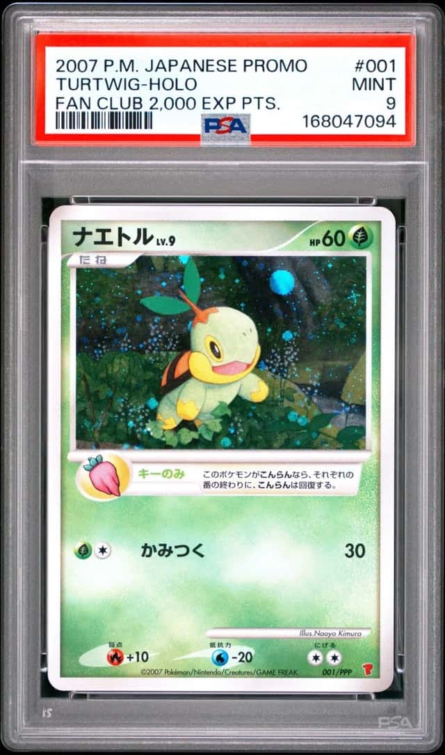 Turtwig