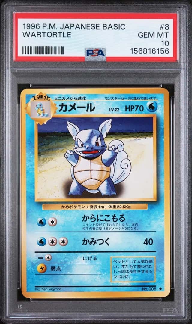 Wartortle
