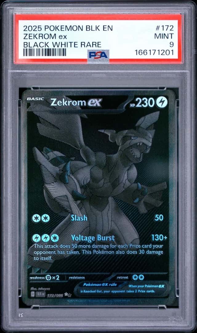 ZEKROM ex