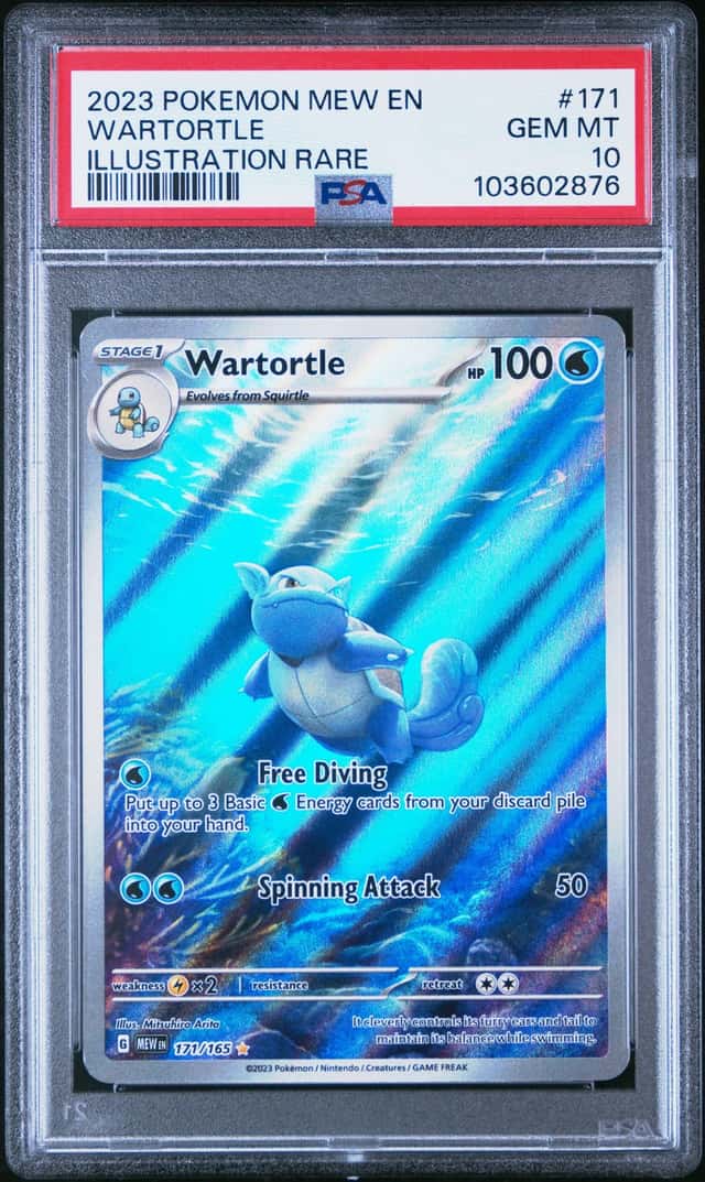 Wartortle