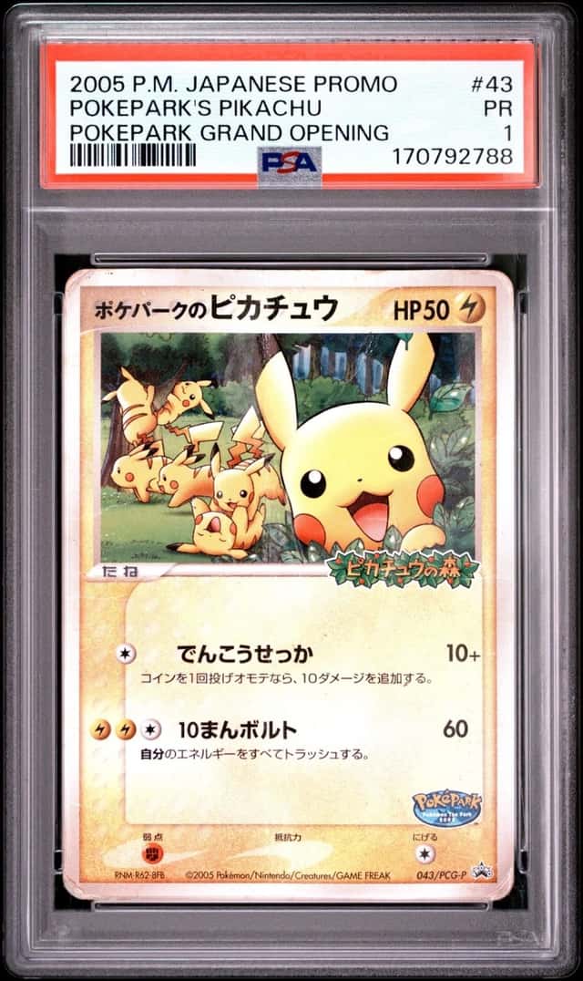 PokePark's Pikachu