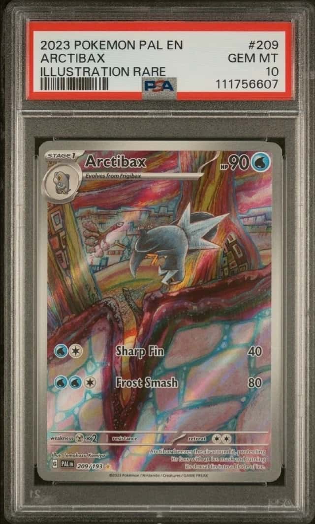 Arctibax
