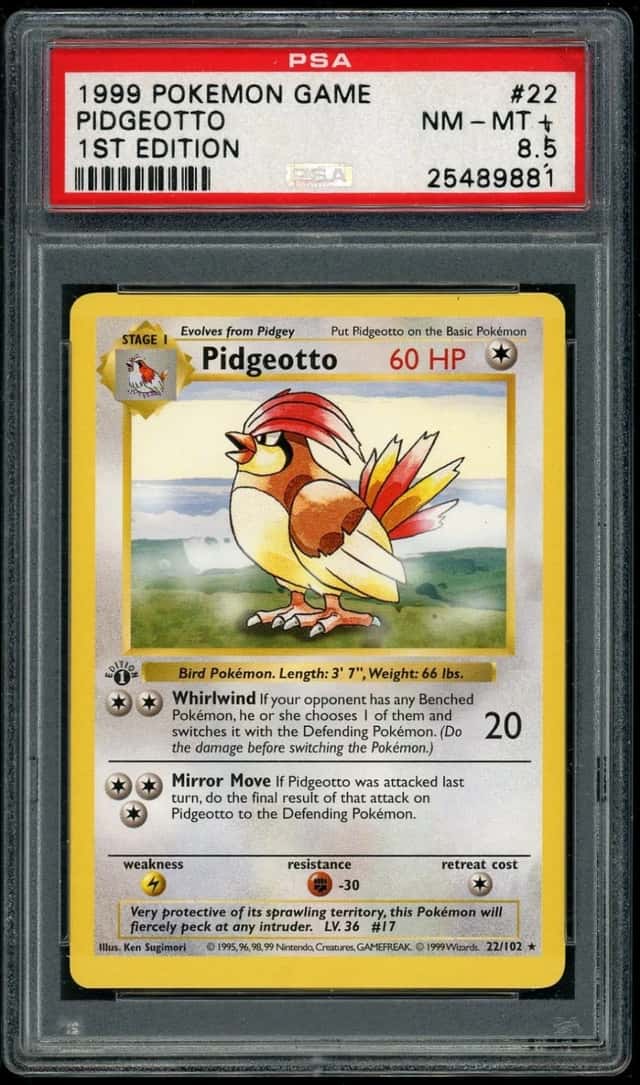Pidgeotto