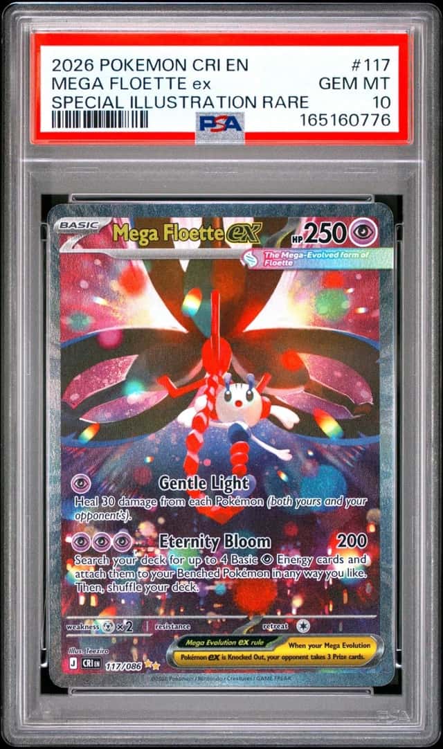 MEGA FLOETTE ex