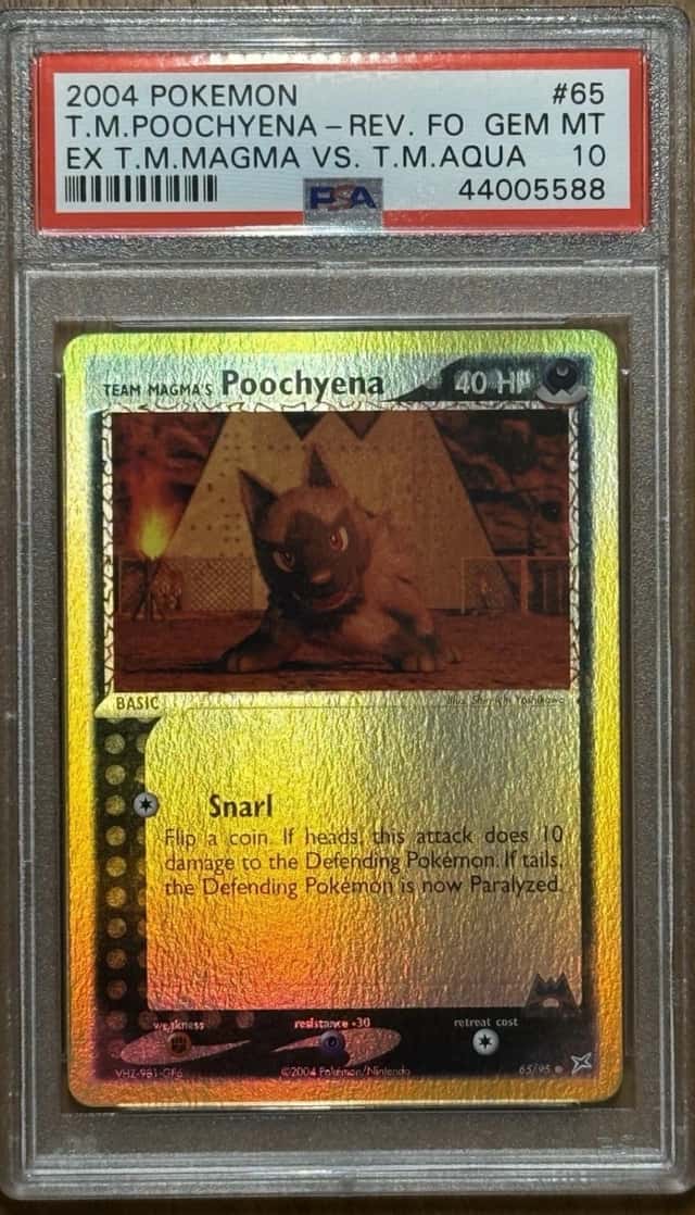 Team Magma's Poochyena