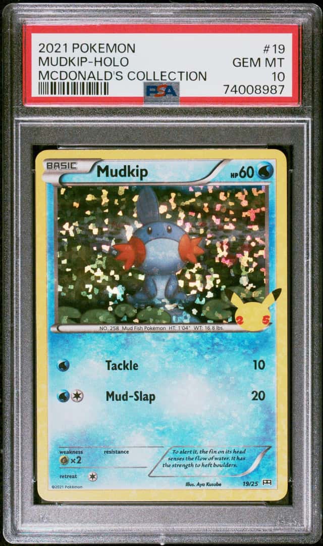 Mudkip