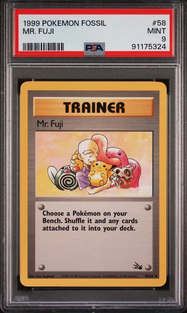 Mr. Fuji