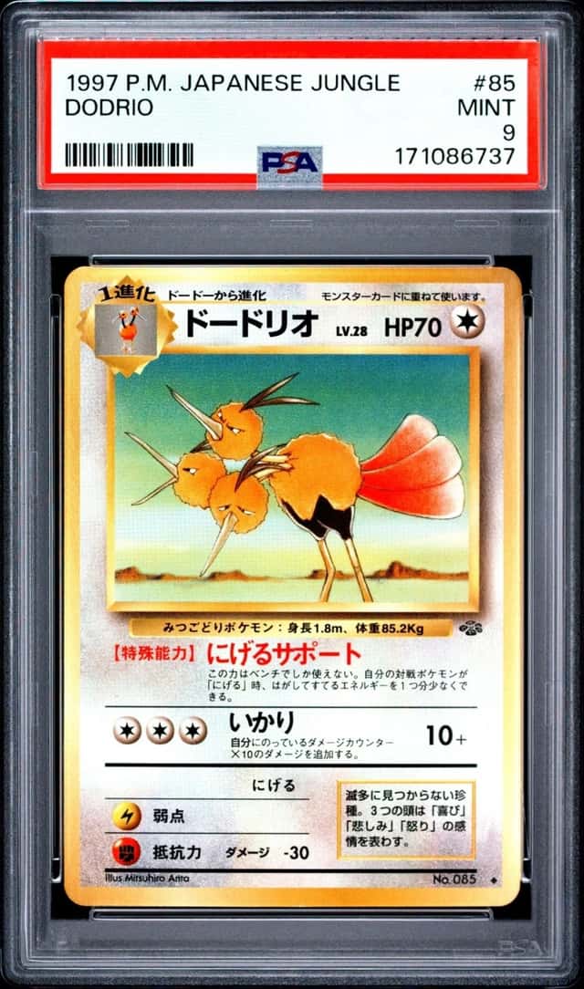 Dodrio