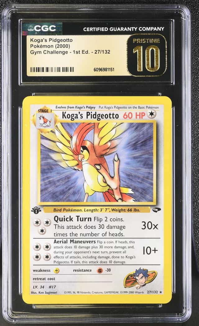 Koga's Pidgeotto