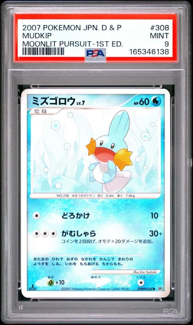 Mudkip