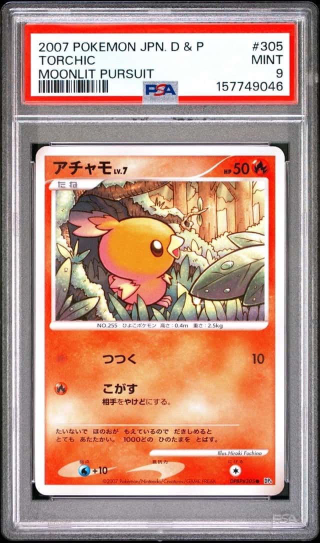 Torchic