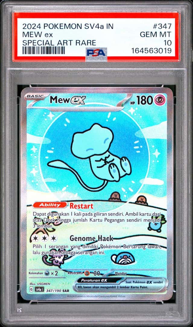 MEW ex