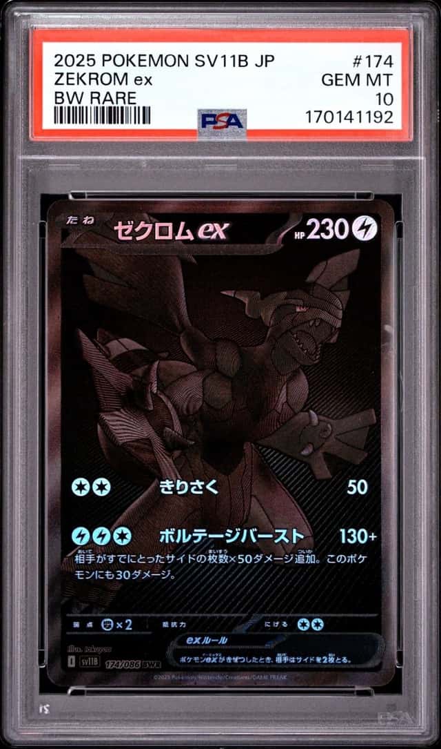 ZEKROM ex