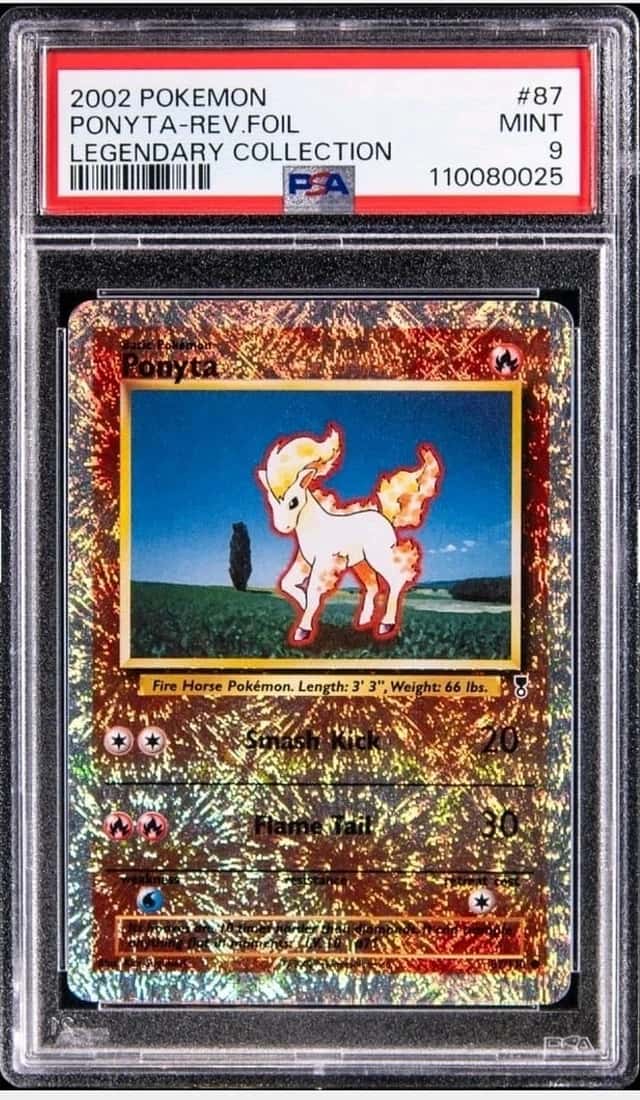 Ponyta